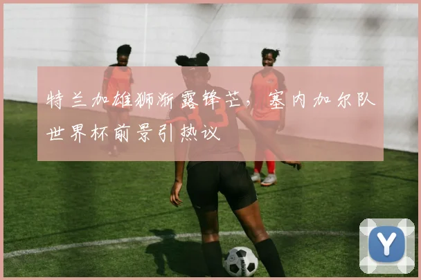 特兰加雄狮渐露锋芒，塞内加尔队世界杯前景引热议