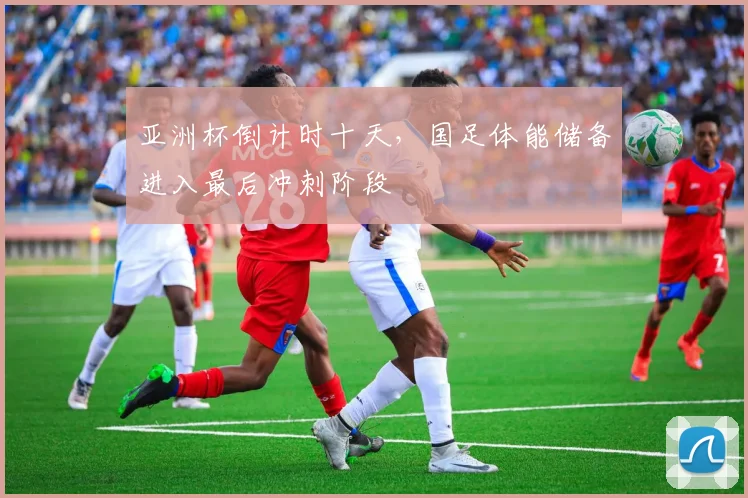 亚洲杯倒计时十天，国足体能储备进入最后冲刺阶段
