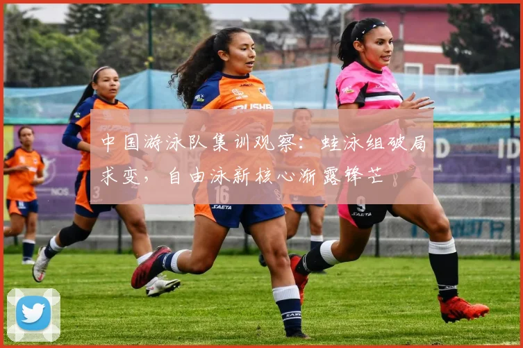 中国游泳队集训观察：蛙泳组破局求变，自由泳新核心渐露锋芒