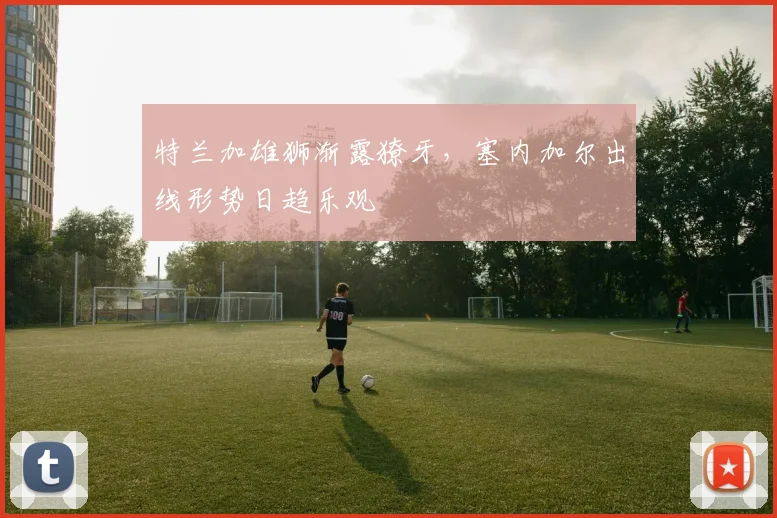 特兰加雄狮渐露獠牙，塞内加尔出线形势日趋乐观