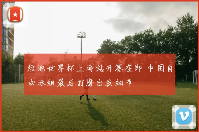 短池世界杯上海站开赛在即 中国自由泳组最后打磨出发细节