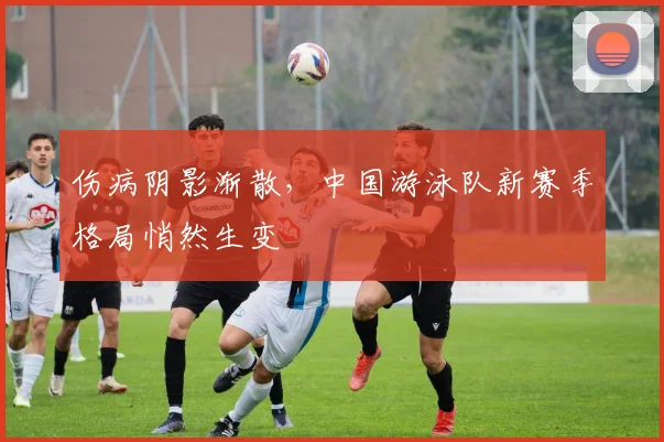 伤病阴影渐散，中国游泳队新赛季格局悄然生变